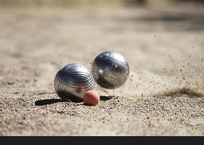 Hotel Mobil-home  « le Voyageur » Camping **** *